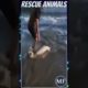 Rescuing Dolphin Stuck on Shore by Pushing it Back Into Water || MEGA FACTS || #shorts