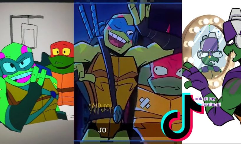 Rise Of The Teenage Mutant Ninja Turtles - ROTTMNT TikTok Compilation #10