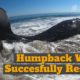Successful Humpback Whale Rescue!