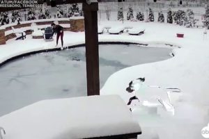 Tennessee woman jumps into frozen swimming pool to rescue dog | ABC7