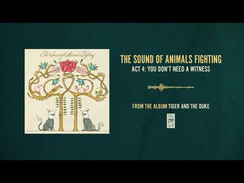 The Sound of Animals Fighting "Act 4: You Don't Need A Witness"