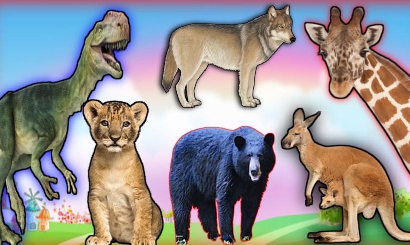 WHAT DO ANIMAL SOUNDS LIKE? FARM ANIMALS:- ZEBRA 🦓, CAT 🐈, KANGAROO 🦘, JACKAL HORSE 🐴,ANIMALS....