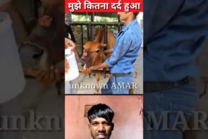 animal rescue / Animal Aid Unlimited #shorts #tranding #viral #short #animals