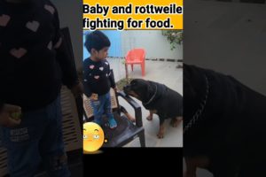 cutest baby and dog fight | rottweiler | #shorts #viral #dog