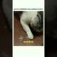 #funny video #funny videos compilation   #funny fails fails of the week #fail funny 2022