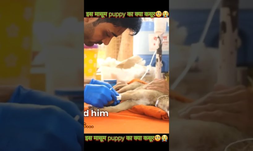 इस मासूम puppy का क्या कसूर🥺😭 #shorts #youtubeshorts #short #dog #india #rescue