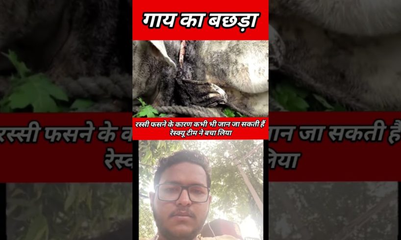 जान जा सकती हैं Rescue Team ने बचा लिया| #newshorts #trending #shorts