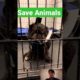 मालिक ने 😱कुत्ता फेक दिया 🥺था।#shorts #facts #animals #viralvideo