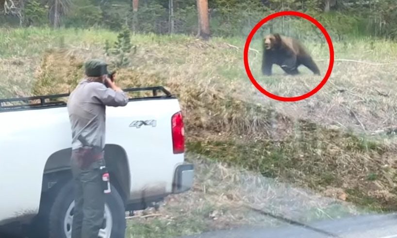 12 Times Park Rangers Messed With The Wrong Animals