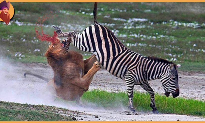 15 Merciless Animal Battles When Predators Encountered The Wrong Prey