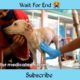 dog rescue video // 😭 #shorts #rescue #factsvideo
