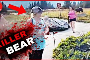 3 Scary Bear Attacks That Will Give You Anxiety.