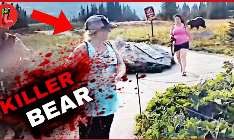 3 Scary Bear Attacks That Will Give You Anxiety.