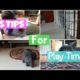 5 Tips for Rabbit Playtime! - HOW TO INTERACT/BOND WITH YOUR BUNNY