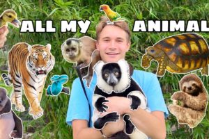 ALL MY ANIMALS IN ONE VIDEO ! FULL PROPERTY TOUR !!