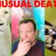 Animal Attacks and Unusual Deaths! TikTok Compilation from makingatruecrimerer