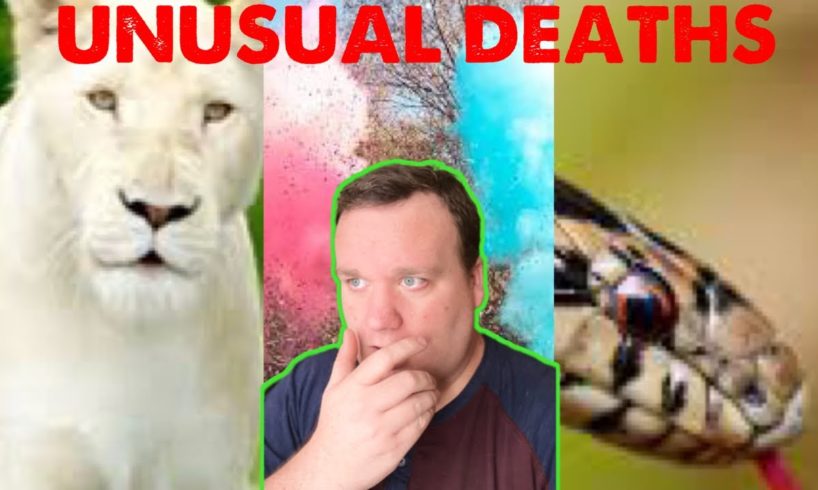 Animal Attacks and Unusual Deaths! TikTok Compilation from makingatruecrimerer