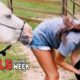 Animals Gone Savage! / Fails Of The Week