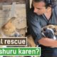 Animals ki help karna kaise start kare | Animal rescue start kaise kare | Animal welfare