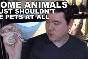 Animals that Shouldn't be Pets