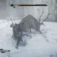 Assassin's Creed Valhalla- Elk of Bloody Peaks (Legendary animal fight)