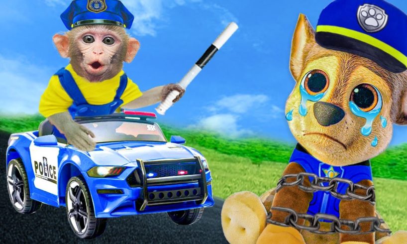Baby Monkey KiKi rides on Police car to rescue Paw Patrol | KUDO ANIMAL KIKI