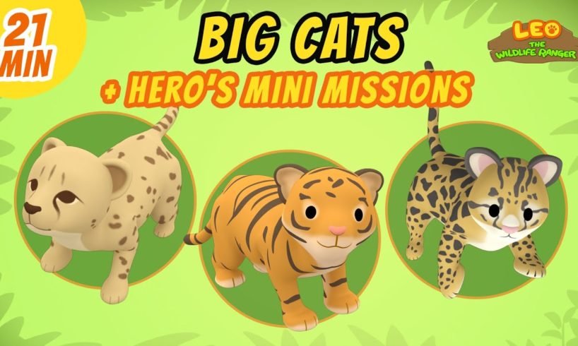 Big Cats - Junior Rangers and Hero's Animals Adventure | Educational | Leo the Wildlife Ranger