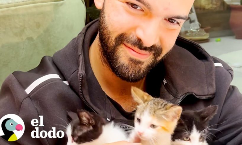 Chico rescata a un gato callejero cada vez que sale de casa | Cat Crazy | El Dodo