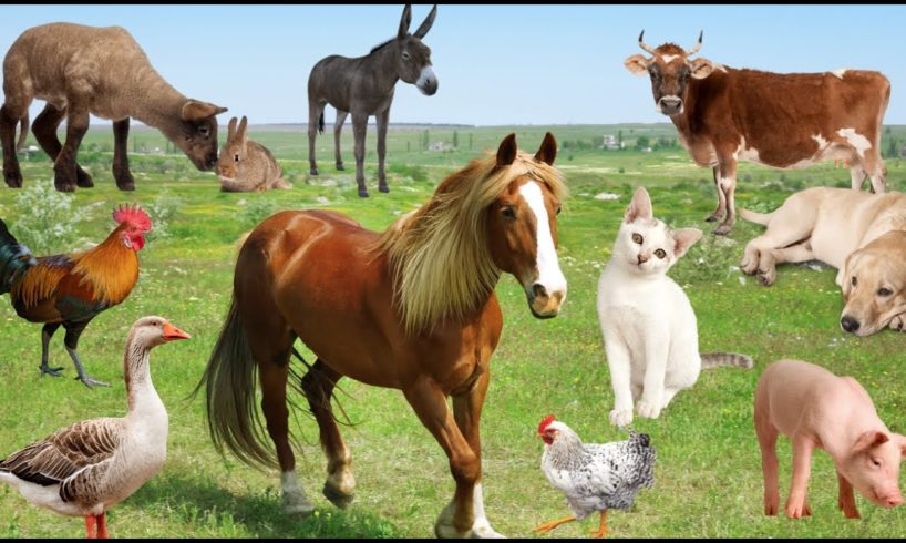 Colorful sounds of domestic farm animals: sheep, horse, cow, llama, chicken, pig, goose, cat, donkey