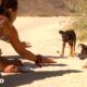 Couple Tries Rescuing Two Puppies for Six Hours At The Beach | The Dodo Running Back To The Rescue