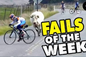 DUMBEST People In The World!  Try Not To Laugh Challenge! 😂 Funniest Fails of the Week #11