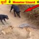 Danger animal fights || monster lizard attacked on dogs || jungle news ep. 0001 || It's FORESTian