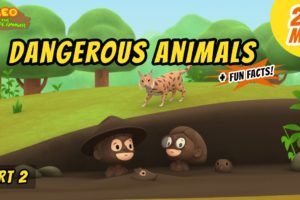 Dangerous Animals (Part 2/3) - Animals Stories for Kids | Educational | Leo the Wildlife Ranger