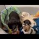Eve and her beautiful puppies - Takis Shelter