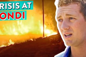 Exactly What You DON'T Want To Happen! Bondi's Biggest Disasters *Watch Party*