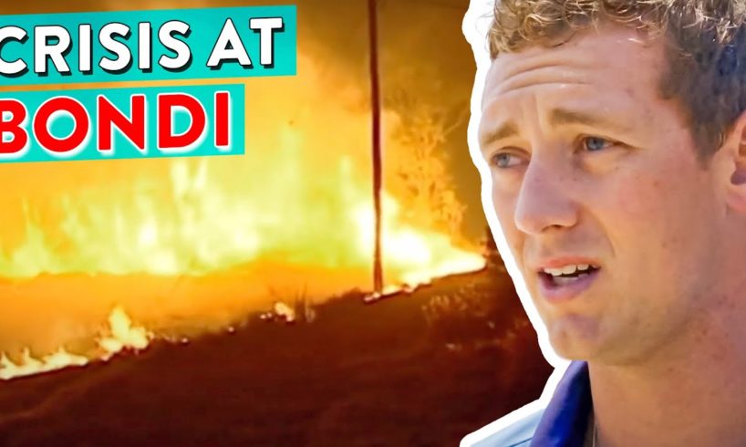 Exactly What You DON'T Want To Happen! Bondi's Biggest Disasters *Watch Party*
