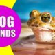FROG SOUNDS | Learn Animals with Kiddopedia #Shorts