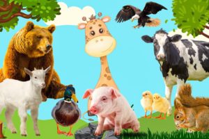 Farm Animals Sounds: Buffalo, Duck, Cow, Dog, Chicken, Bird - Interesting sounds of animals