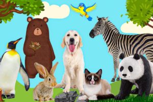 Farm Animals Sounds: Goat, Rabbit, Buffalo, Dog, Bee, Sheep - Learn sounds of animals