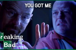 Hank & Walt's Game Of Cat & Mouse | COMPILATION | Breaking Bad