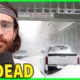 Holiday Winter Storm Batters US, Leaving Nearly 50 Dead | HasanAbi reacts