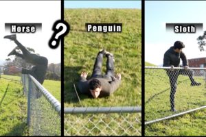 How Different Animals Get Over A Fence. (COMPILATION)