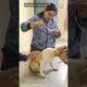 Innocent Dog 🥺 rescued and treatment 🙏 #shorts #viral #shortsvideo #ytshorts