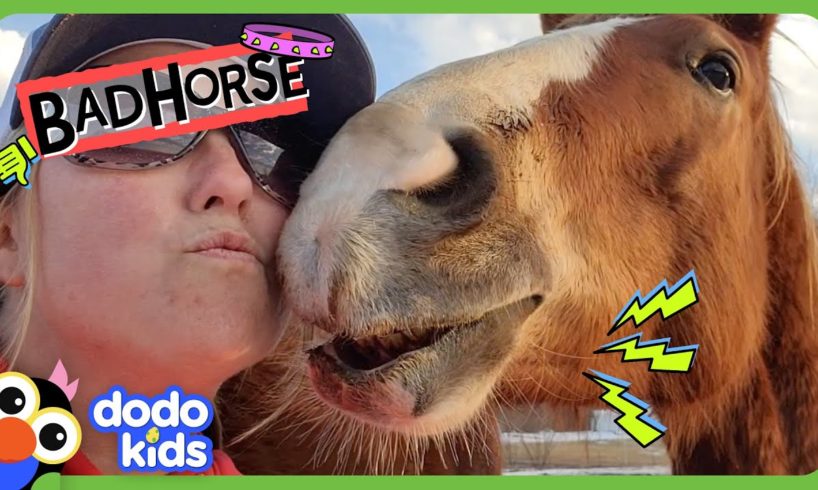 Is This The Baddest Horse Who Ever Lived? | Dodo Kids | Bad Boys And Girls