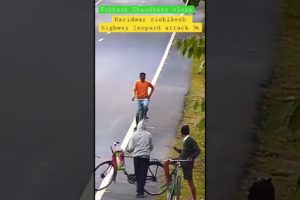 Leopard 🐆 attack cyclist #shorts #animals