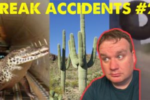 Man Vs. Cactus and More Unfortunate Freak Accidents! TikTok Compilation!