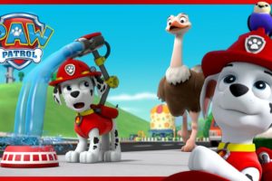 Marshall's Best Animal Rescue Moments and More! | PAW Patrol | Cartoons for Kids