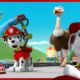 Marshall's Best Animal Rescue Moments and More! | PAW Patrol | Cartoons for Kids