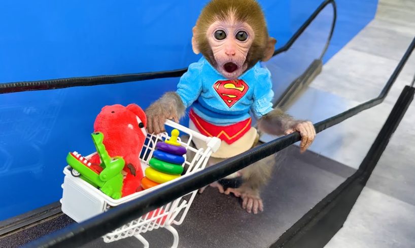 Monkey Baby Bon Bon rides supermarket escalator and plays in the water with puppy and duckling