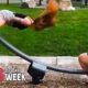 Most Awkward Public Moments Caught on Camera | Best CRAZY Pranks  Fails of the Week | Funny World